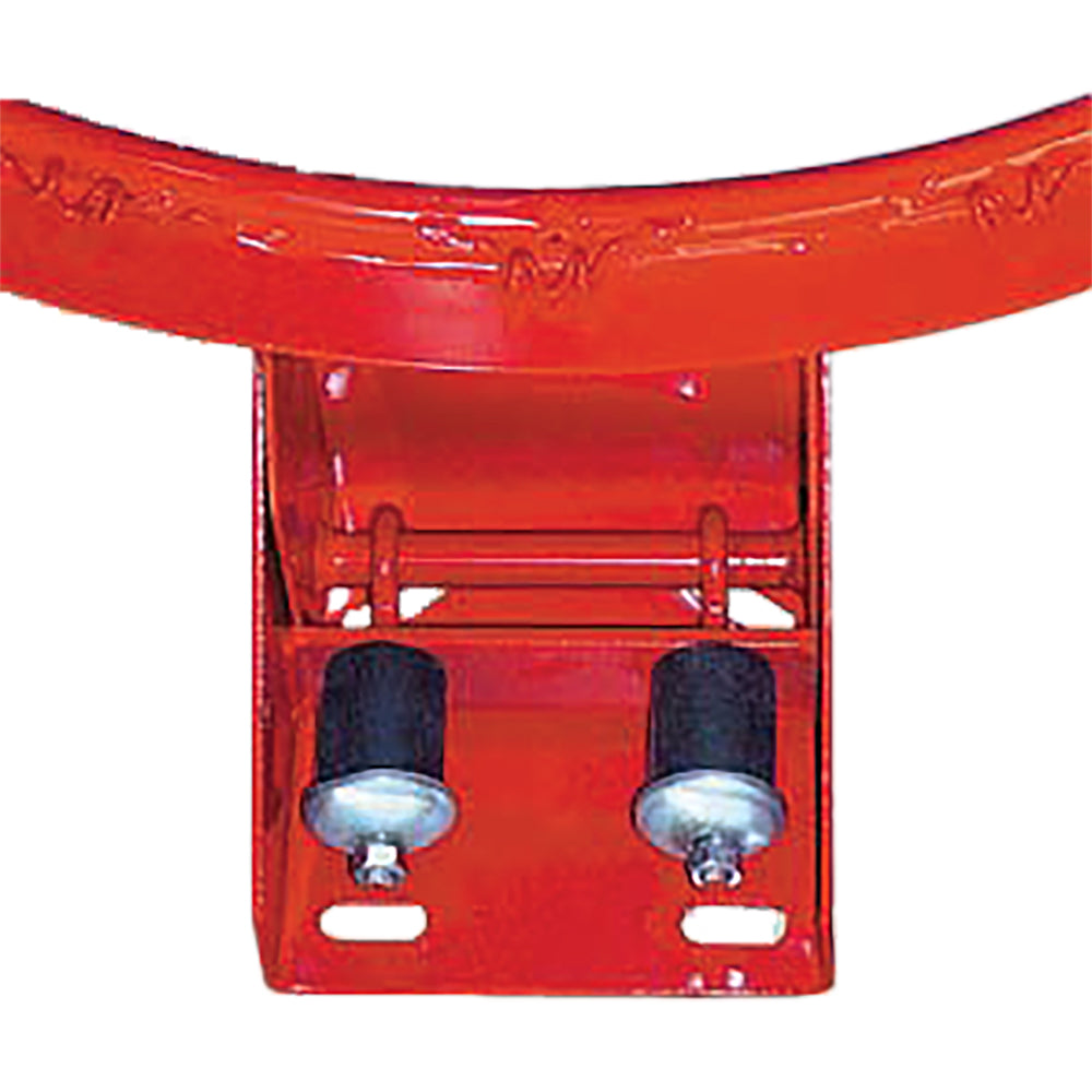 Pro Image Flex Ring & Net Set