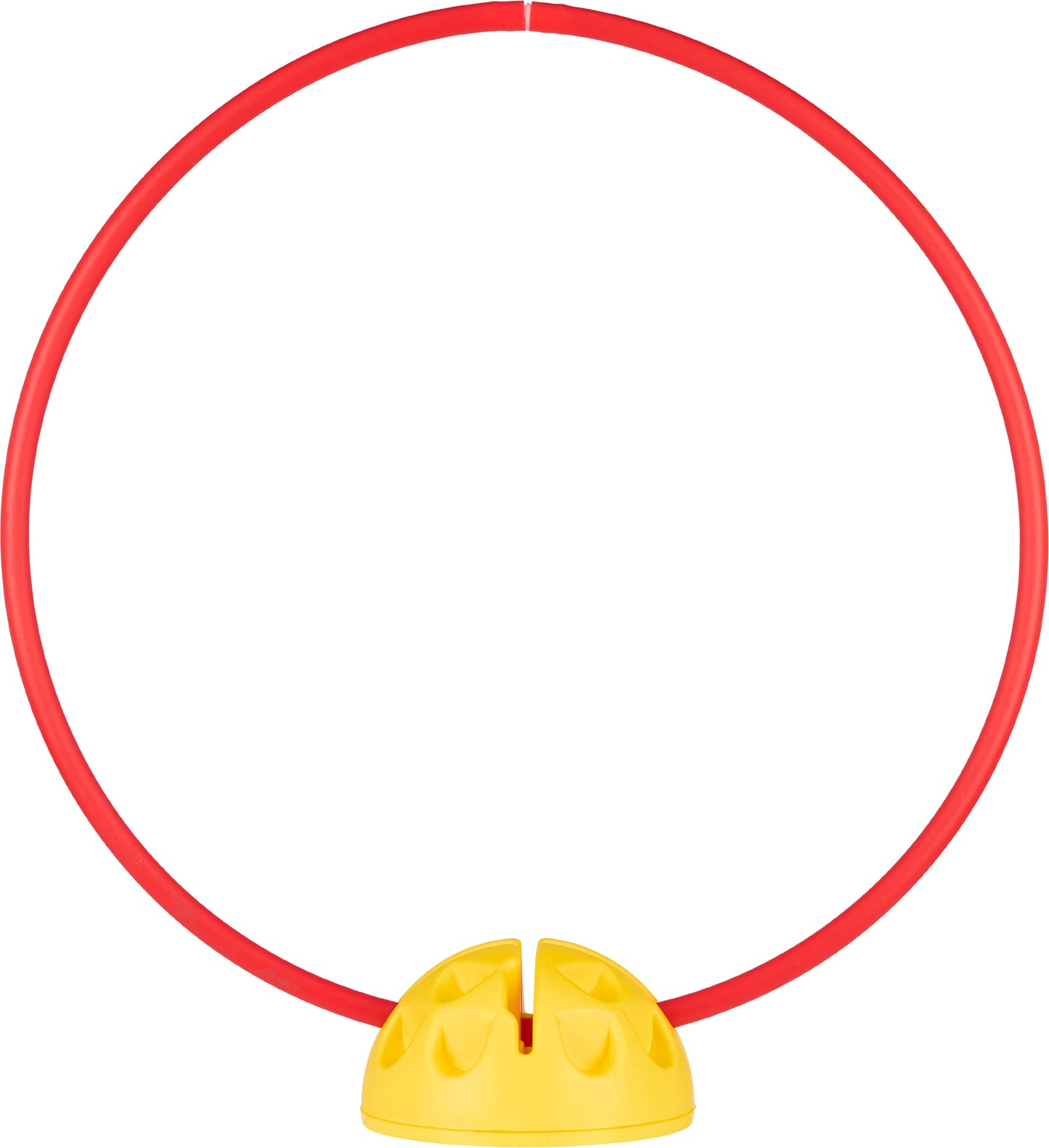 Hoop & Rod Dome