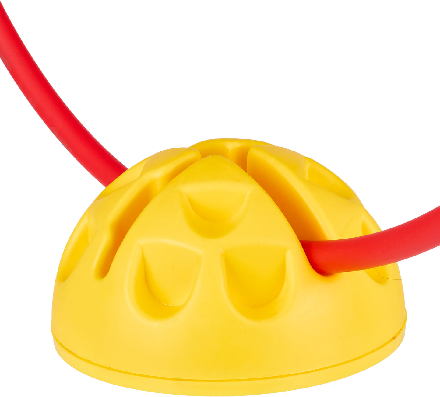 Hoop & Rod Dome
