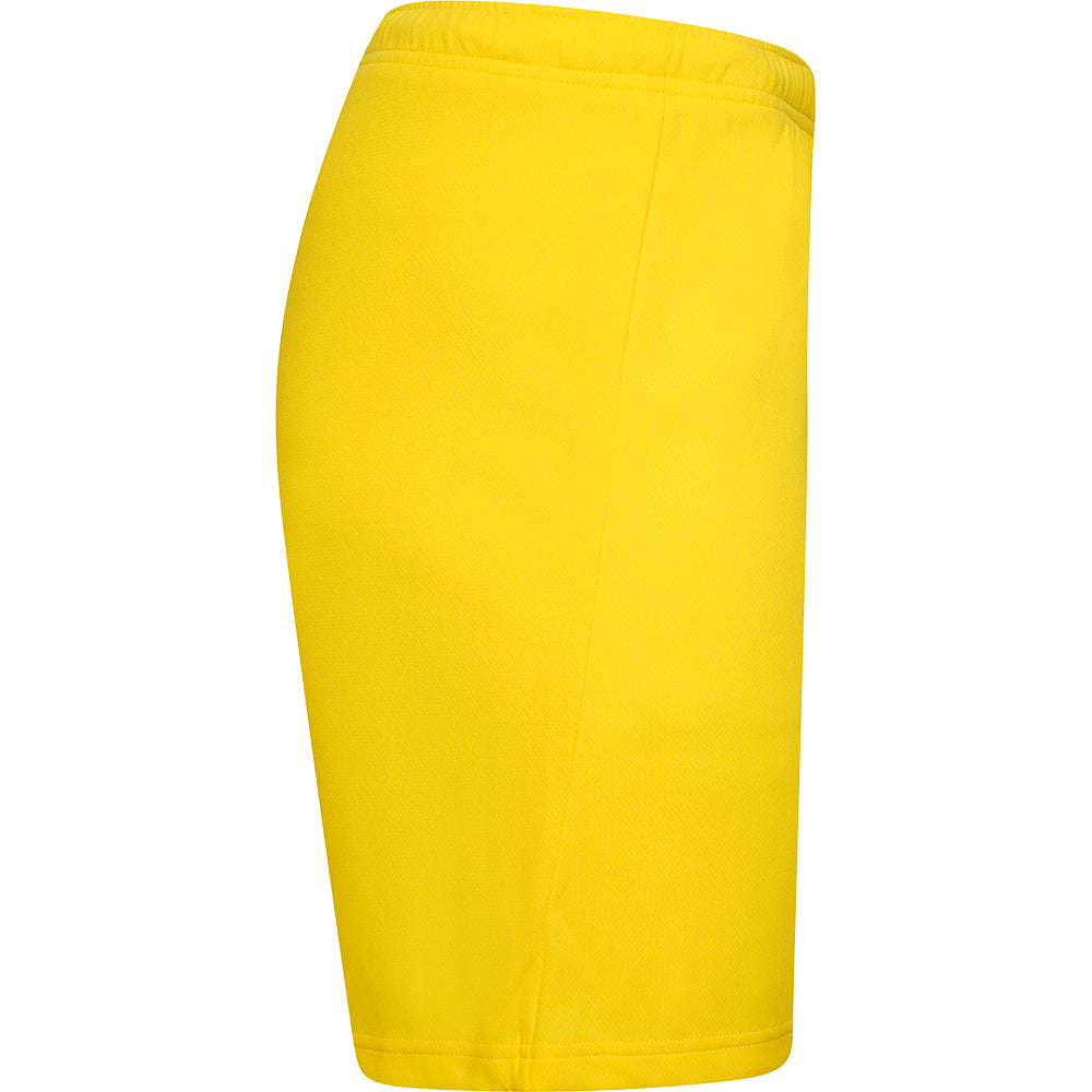 Puma Team Rise Shorts Senior