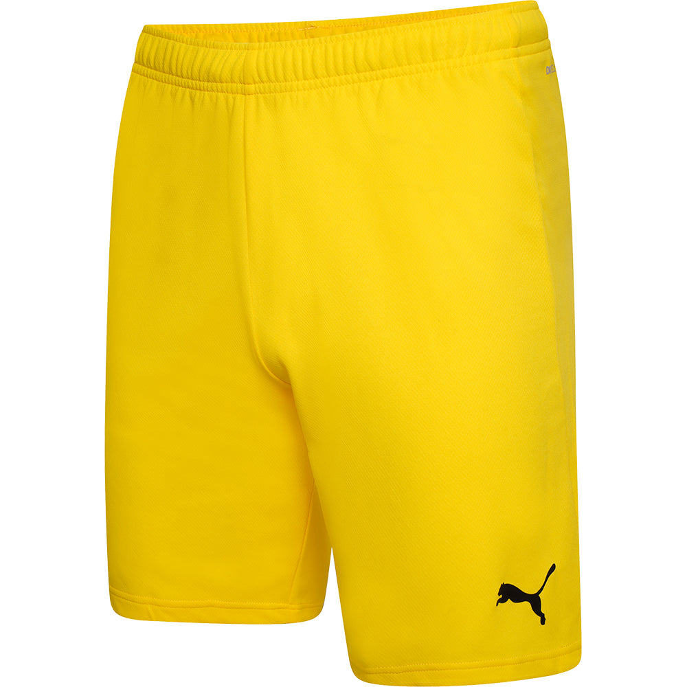 Puma Team Rise Shorts Senior