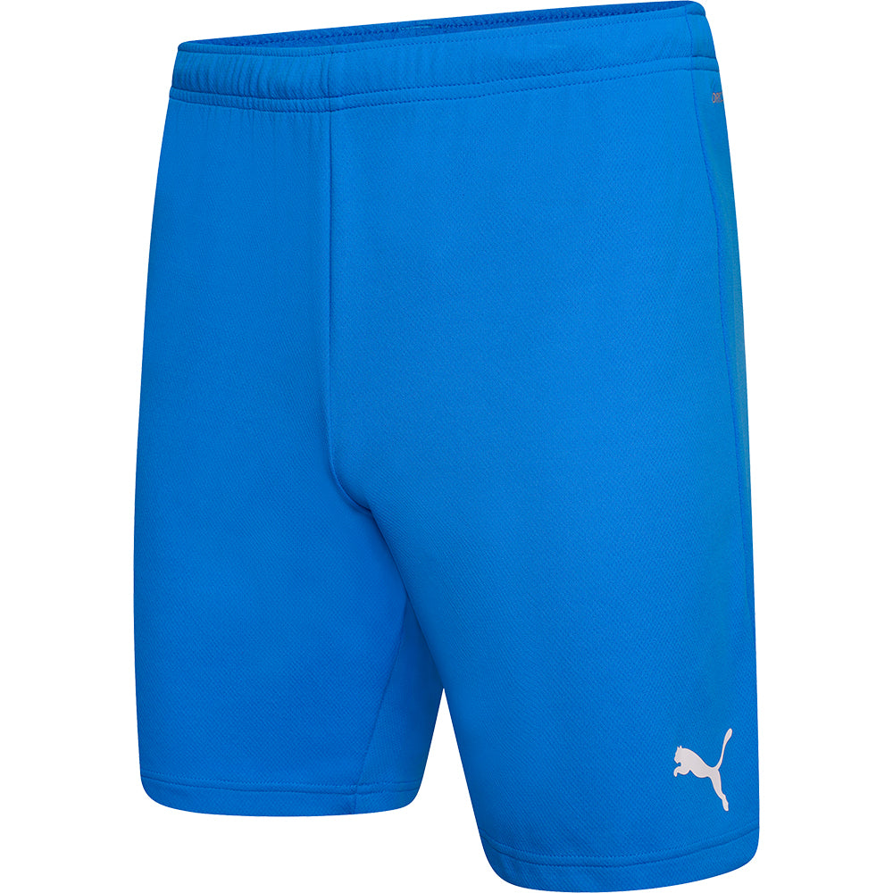 Puma Team Rise Shorts Senior