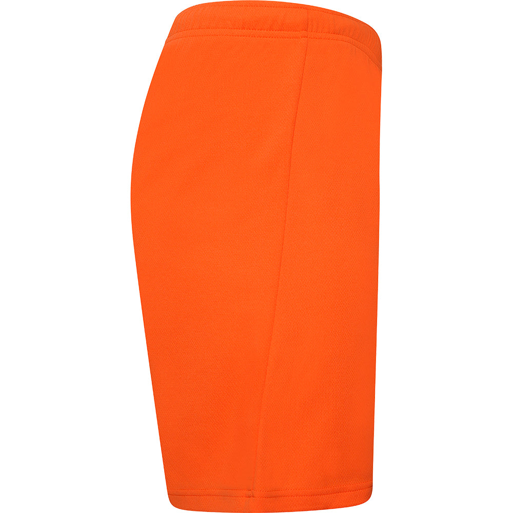 Puma Team Rise Shorts Senior