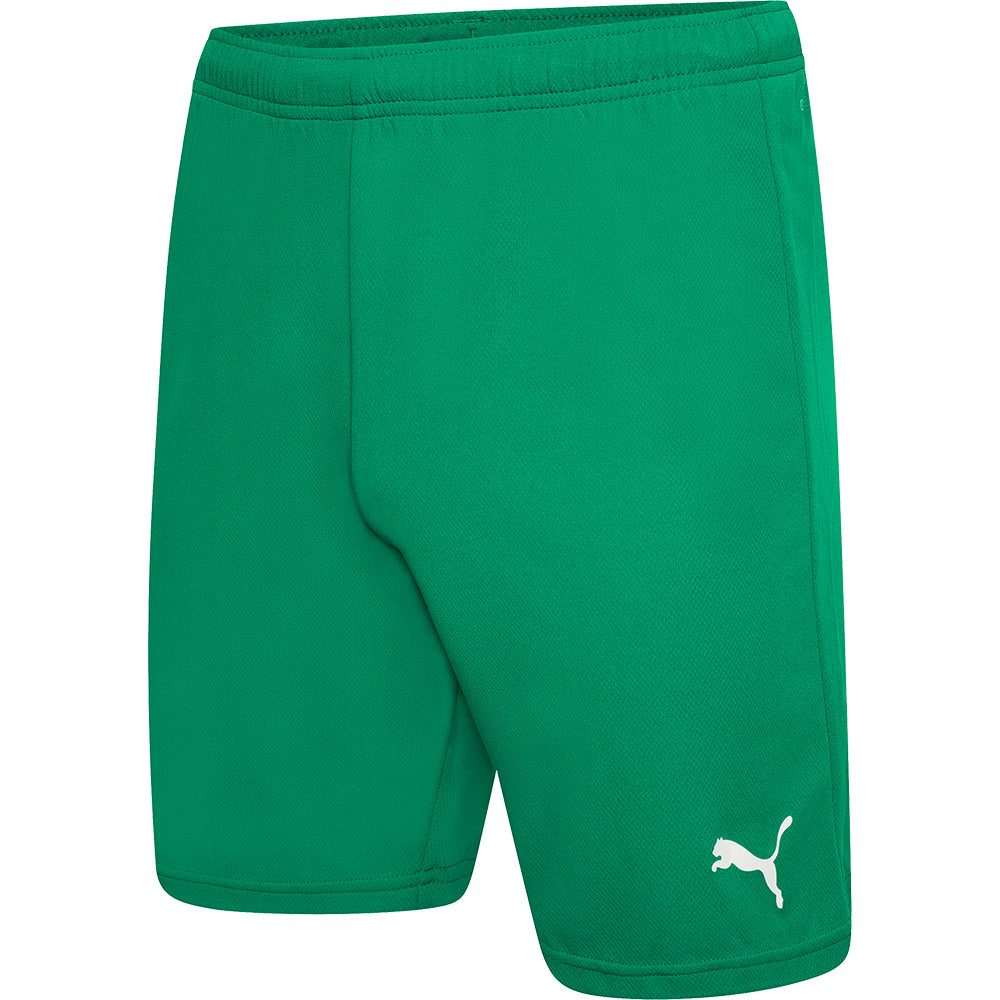 Puma Team Rise Shorts Senior