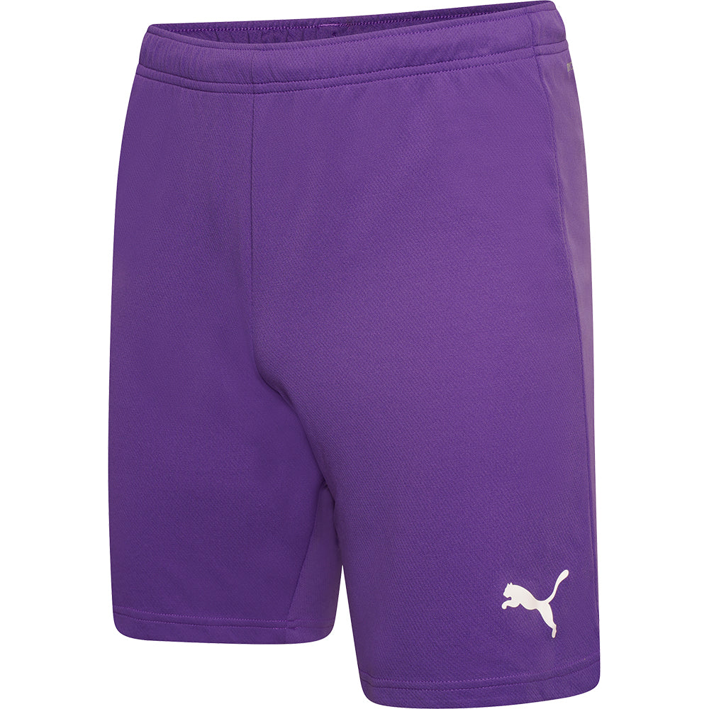 Puma Team Rise Shorts Senior