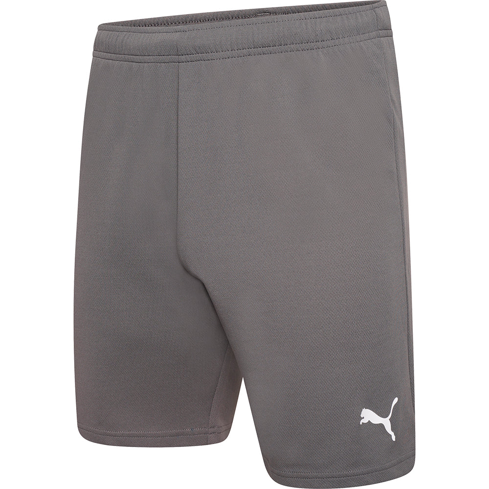 Puma Team Rise Shorts Senior