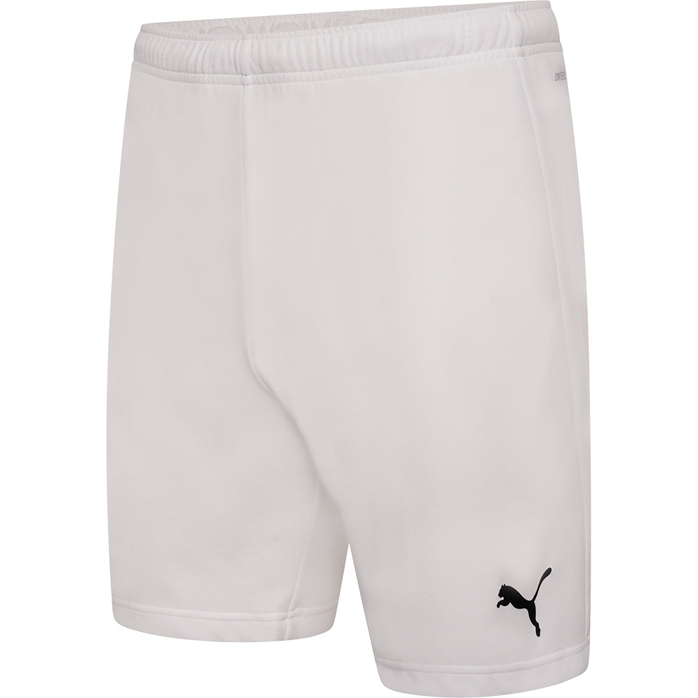 Puma Team Rise Shorts Senior