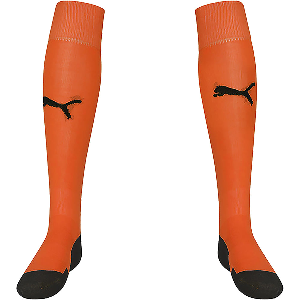 Puma Team Liga Sock Senior