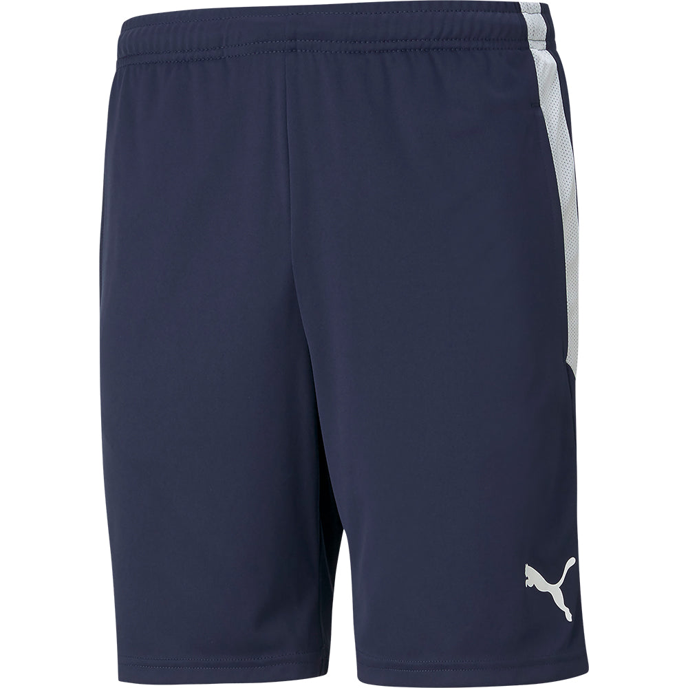 Puma Team Liga Training Shorts Senior