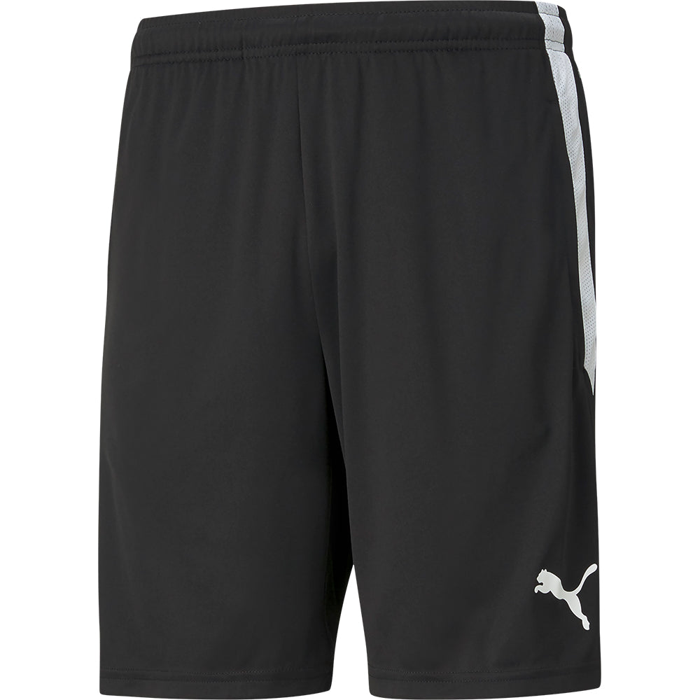 Puma Team Liga Training Shorts Youth