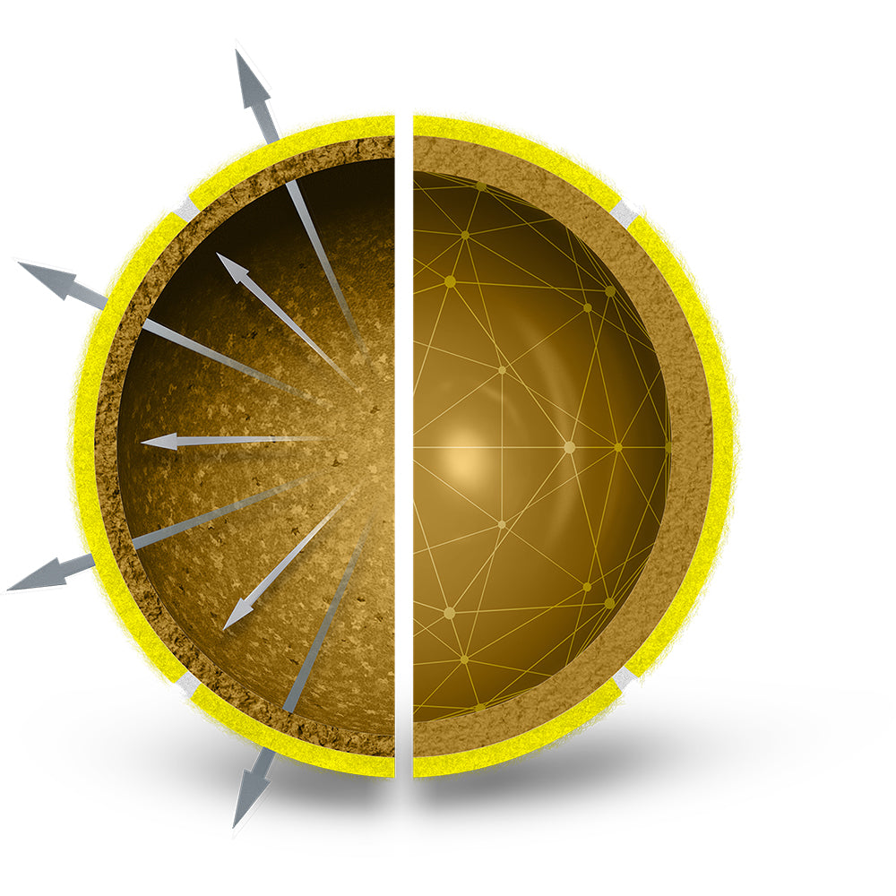 Wilson Triniti Club Carton Tennis Balls (72 Balls)