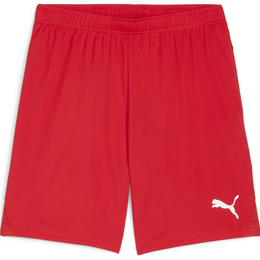 Puma Team Goal Shorts Senior