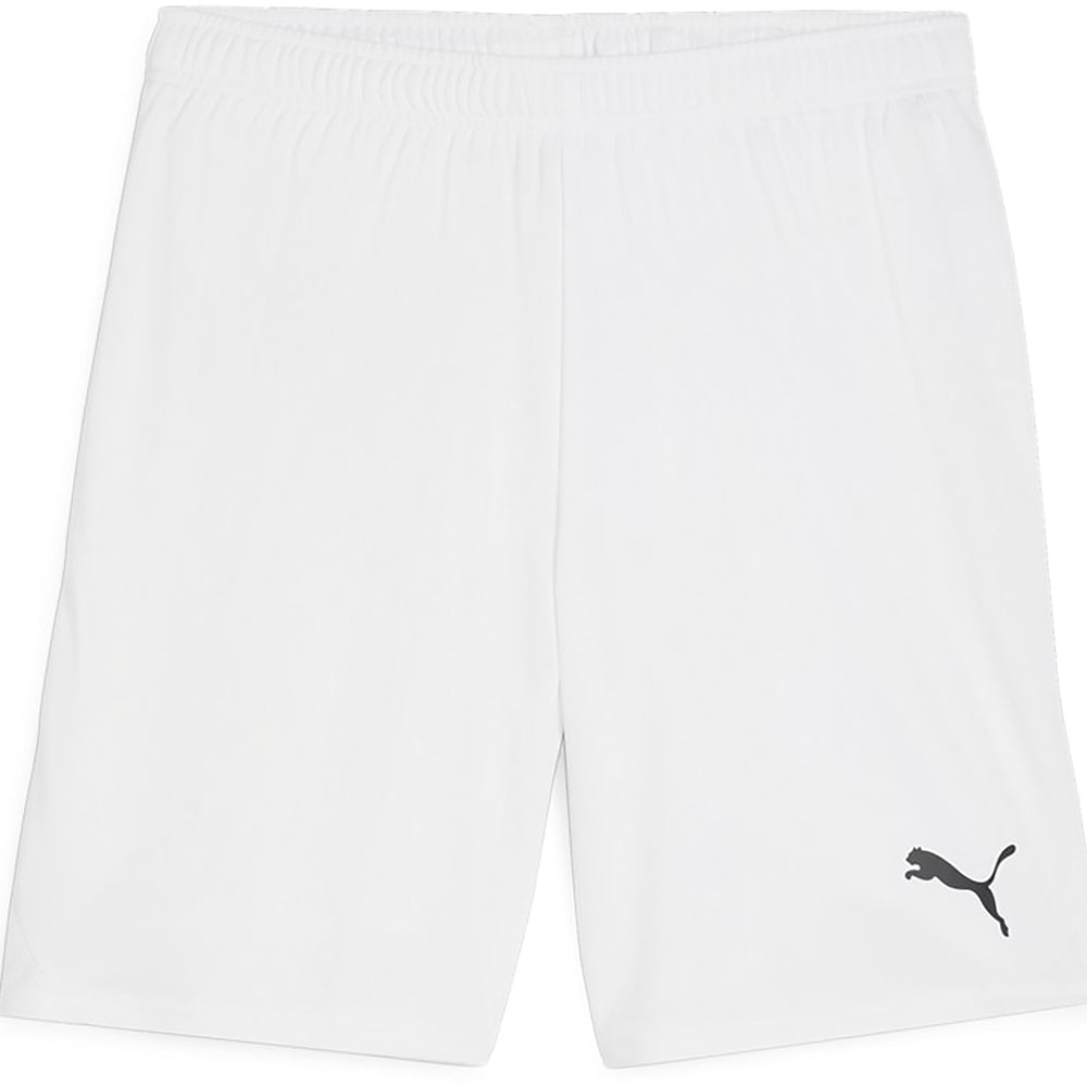 Puma Team Goal Shorts Senior