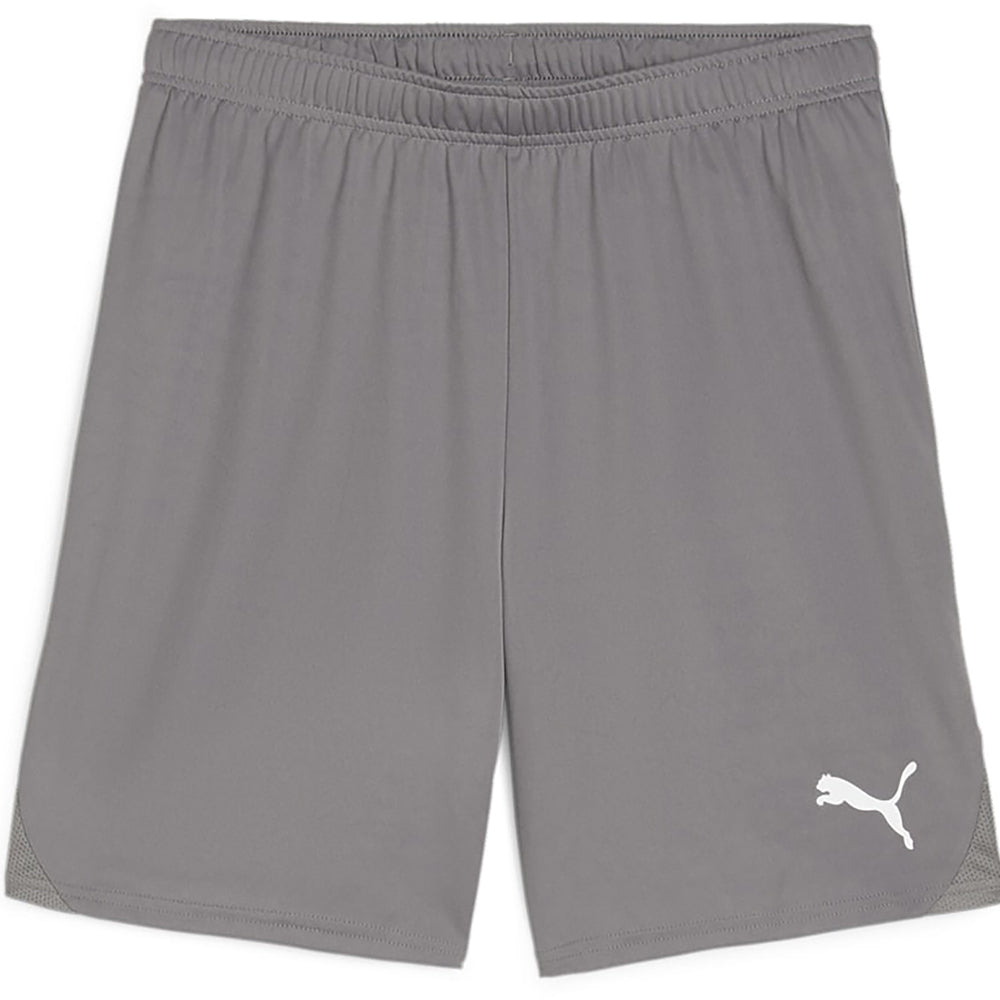Puma Team Goal Shorts Senior