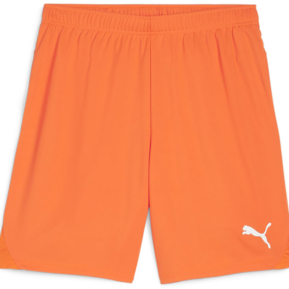 Puma Team Goal Shorts Senior