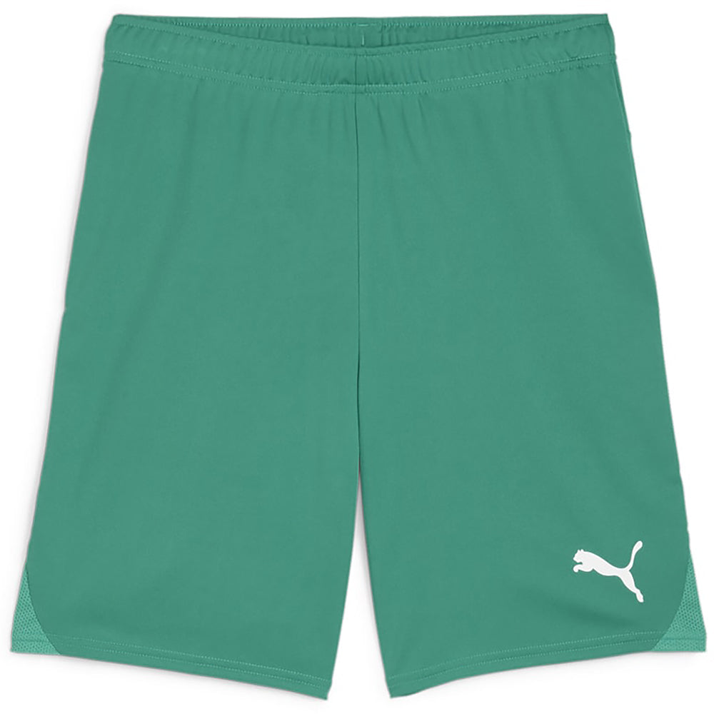 Puma Team Goal Shorts Senior