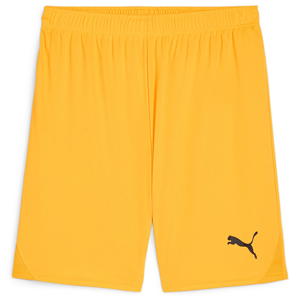 Puma Team Goal Shorts Senior