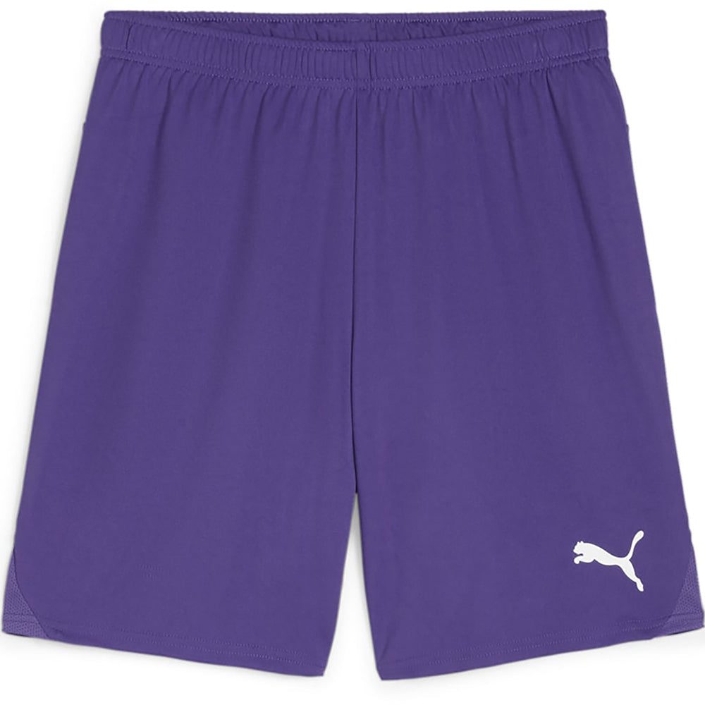 Puma Team Goal Shorts Senior