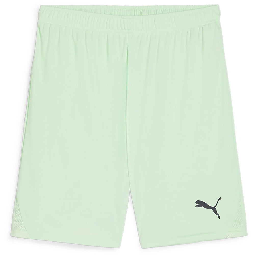 Puma Team Goal Shorts Senior
