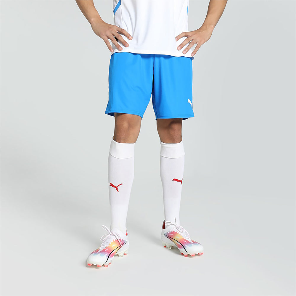 Puma Team Goal Shorts Senior