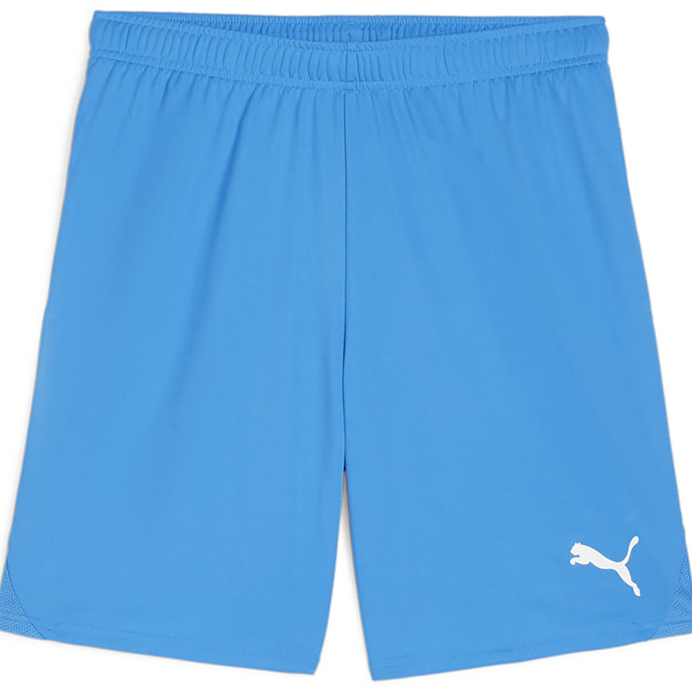 Puma Team Goal Shorts Senior