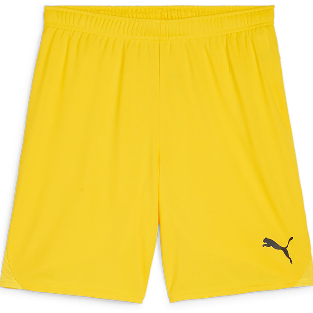 Puma Team Goal Shorts Senior