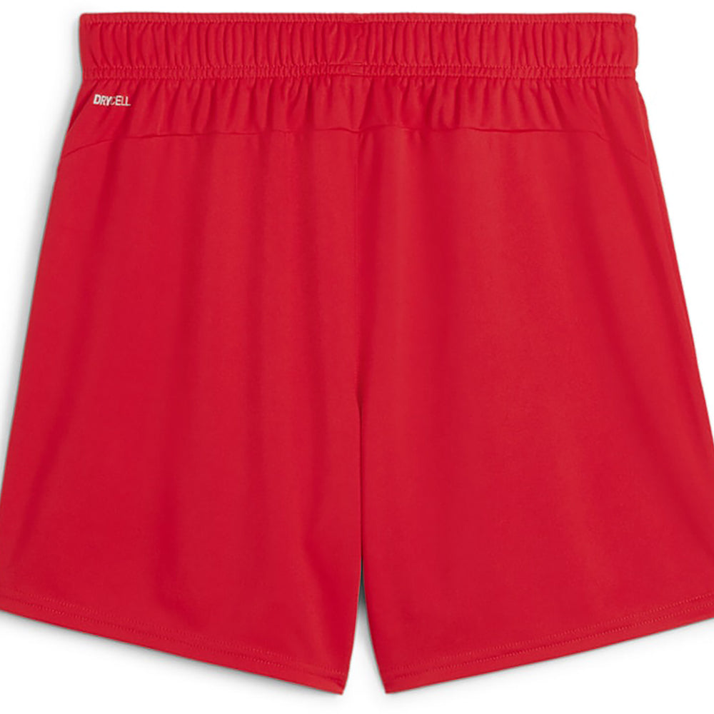 Puma Team Goal Shorts Women's