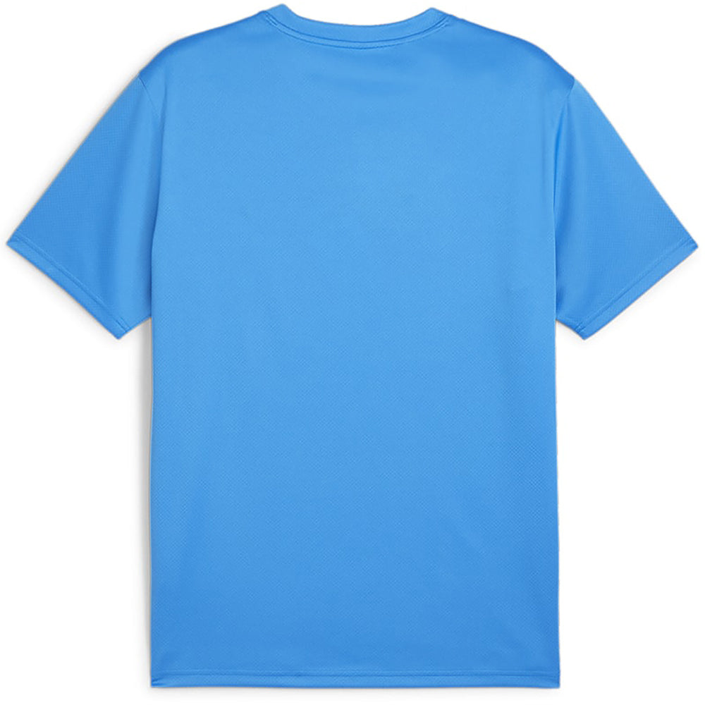 Puma Team Goal Training Jersey Senior