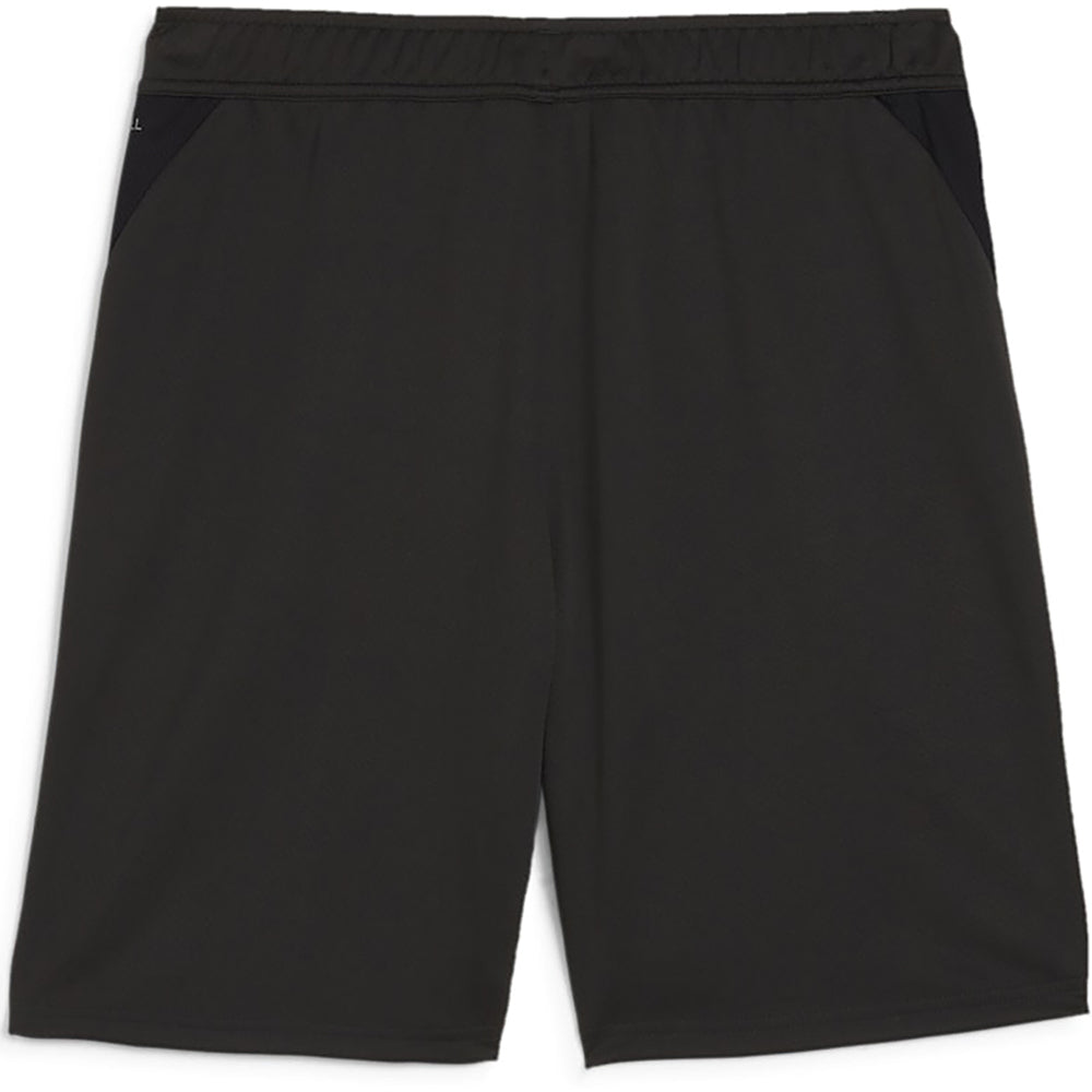 Puma Team Goal Training Shorts Senior