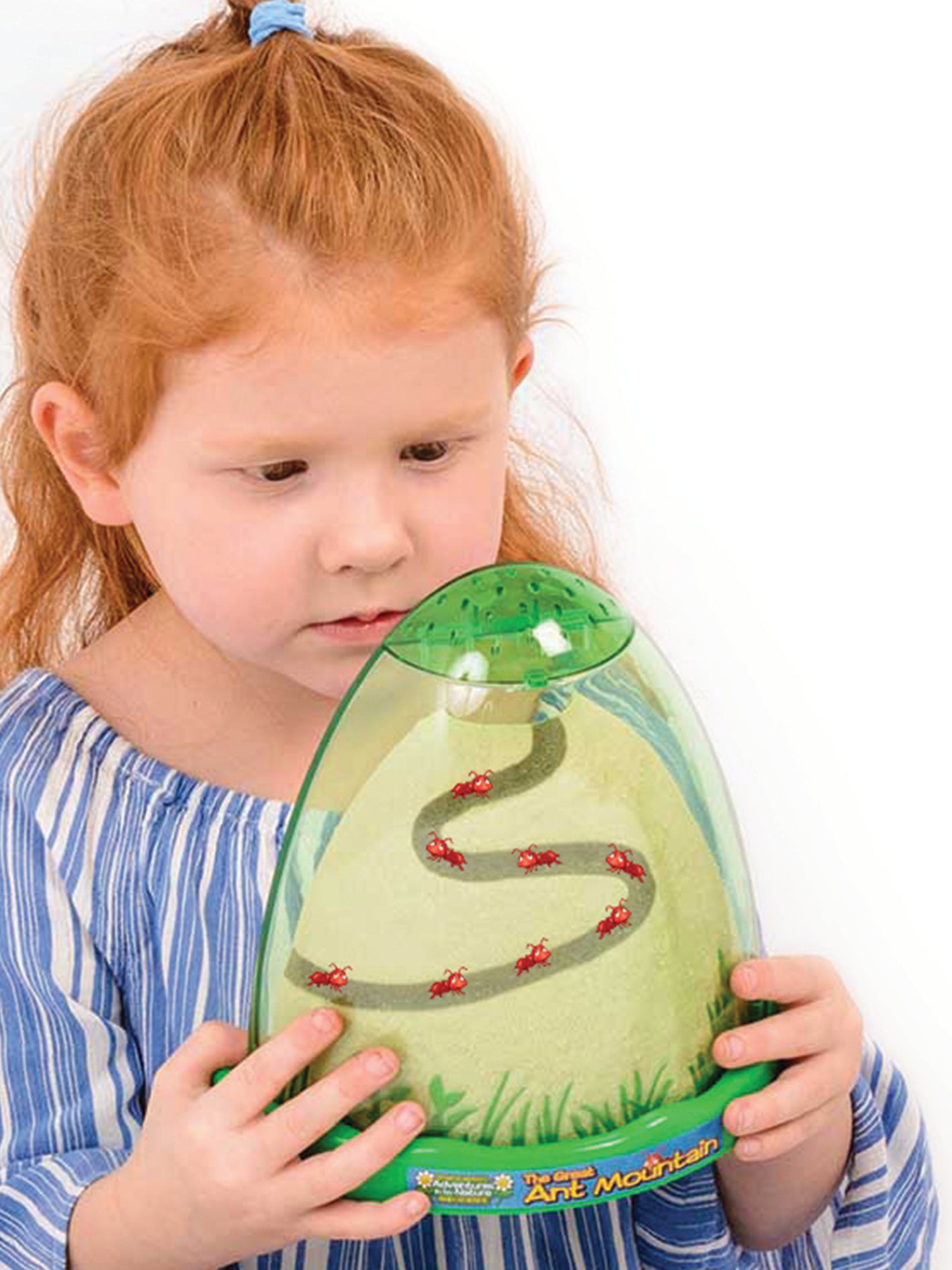 Bug & Plant Taster Kit