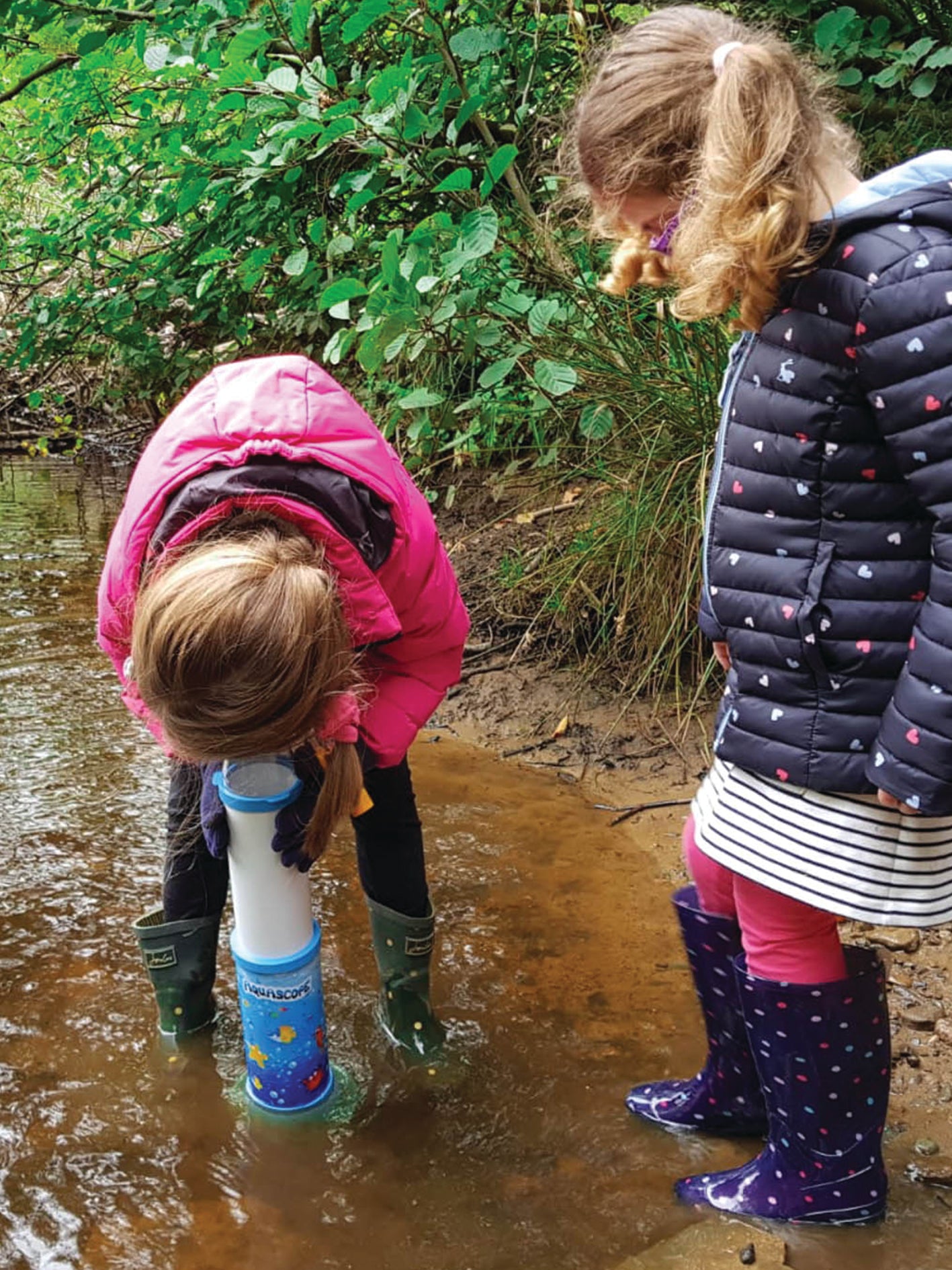 Bug & Plant Taster Kit