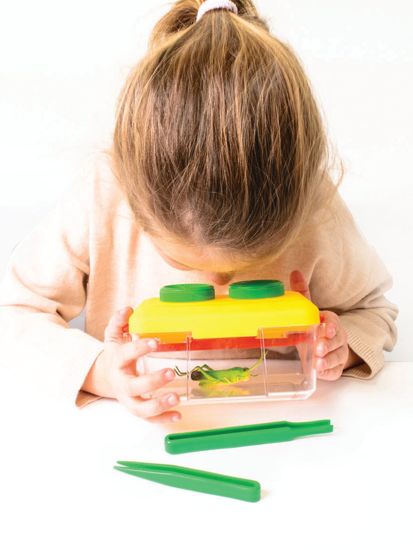 Bug & Plant Taster Kit