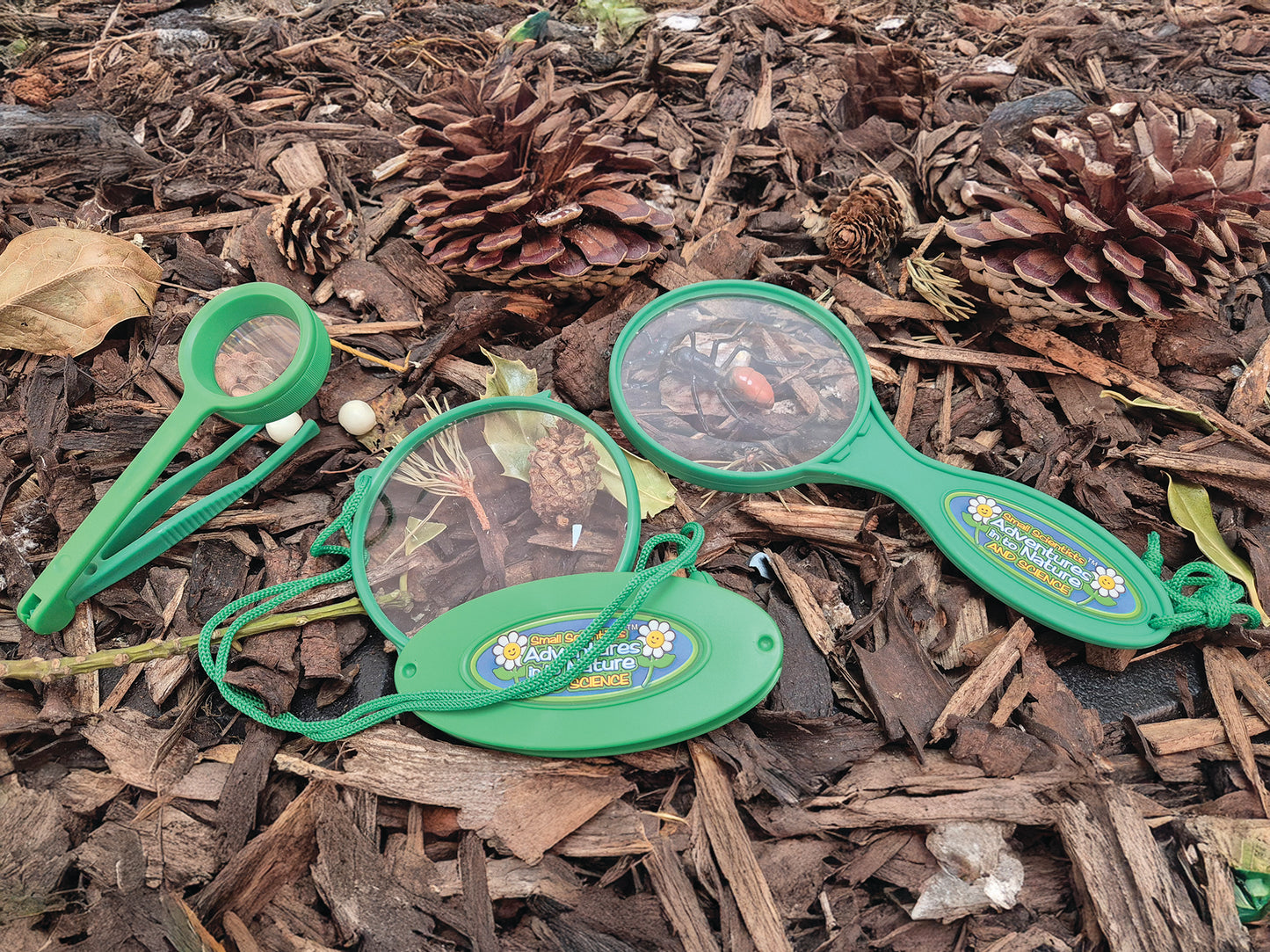 Bug & Plant Taster Kit