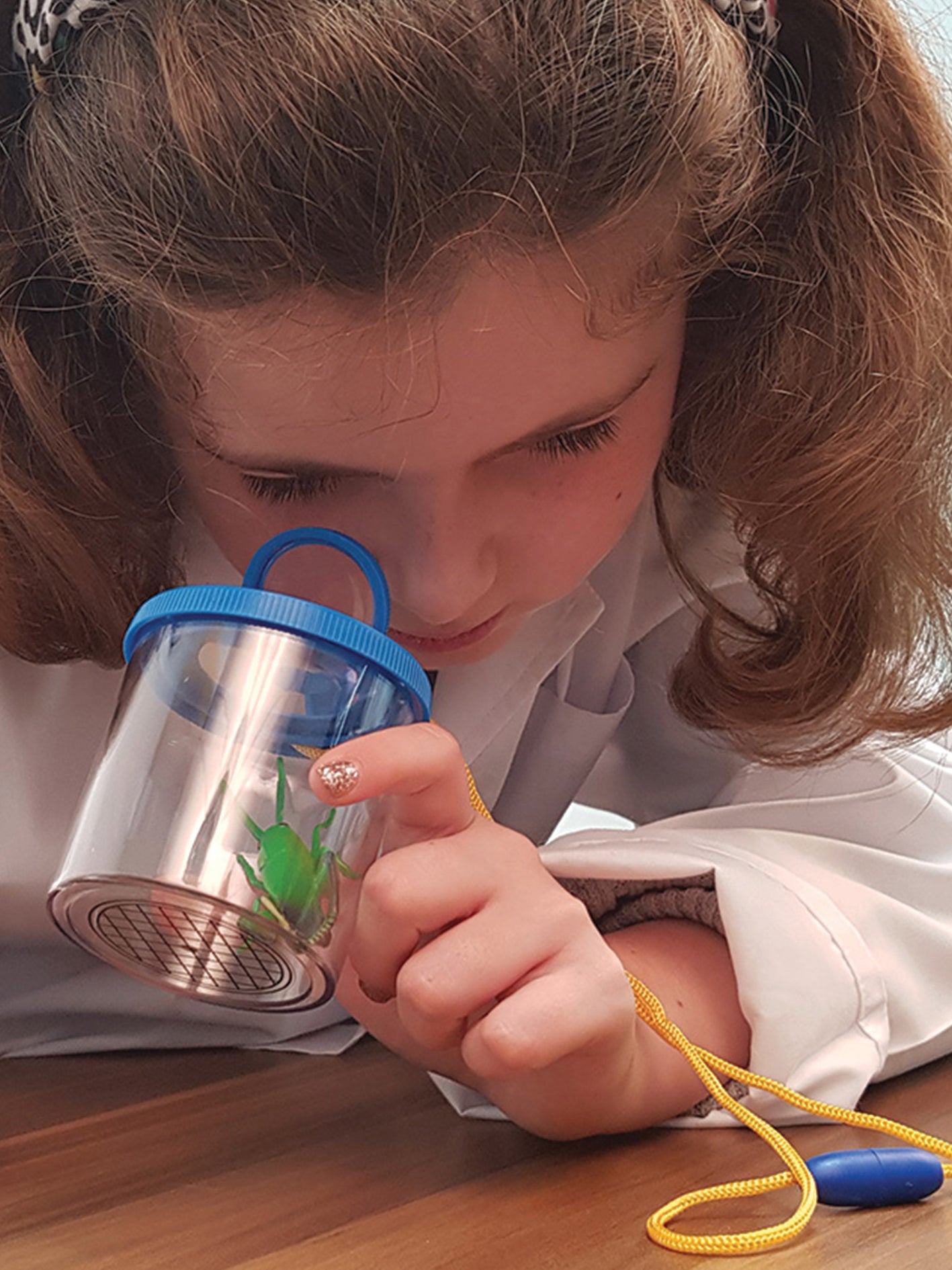 Bug & Plant Taster Kit