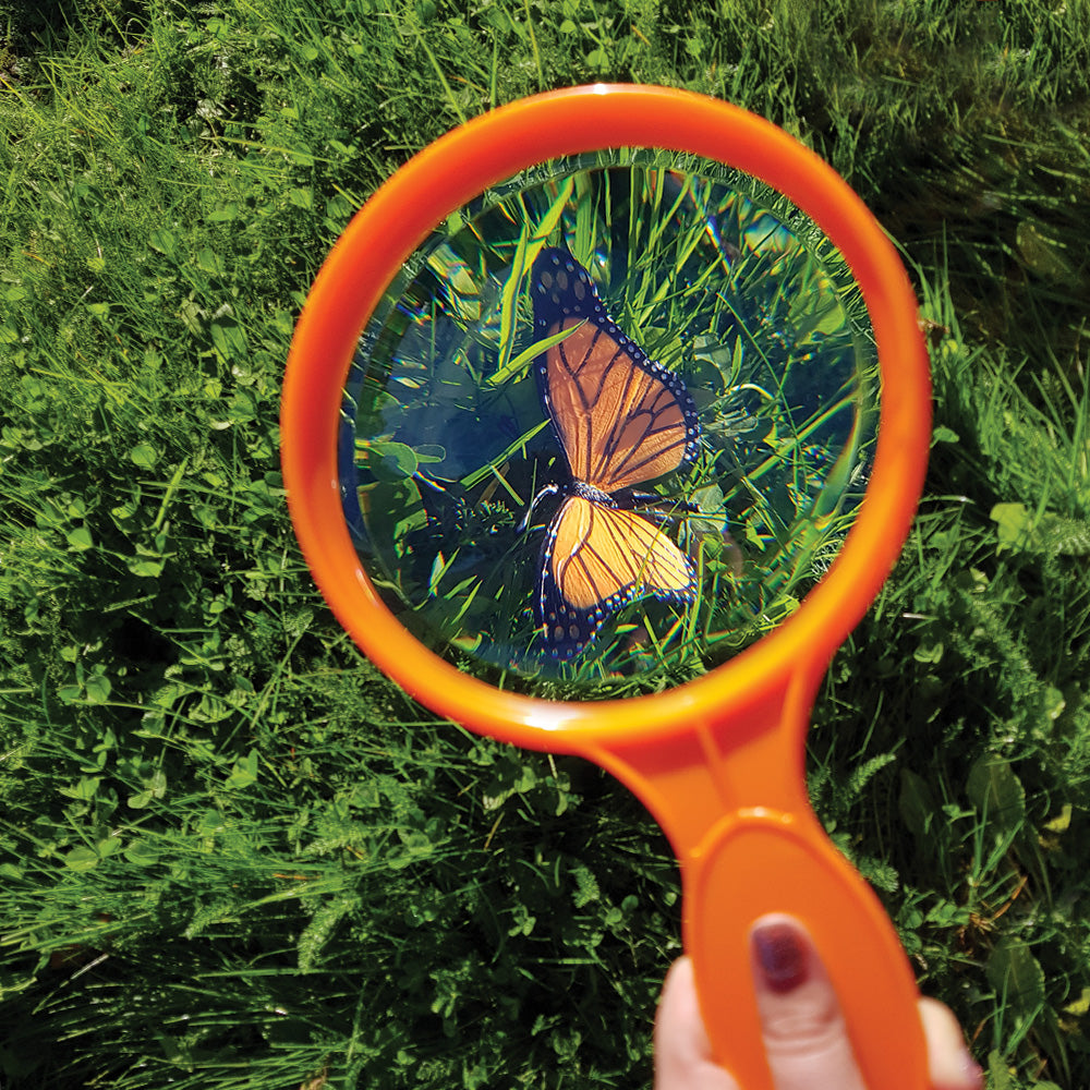 Plant & Bug Hunting Kit