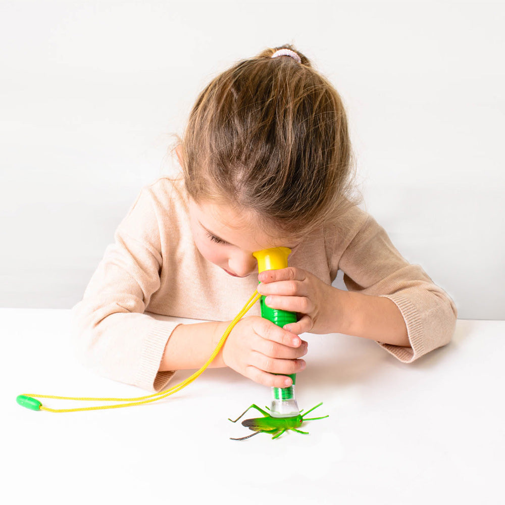 Plant & Bug Hunting Kit