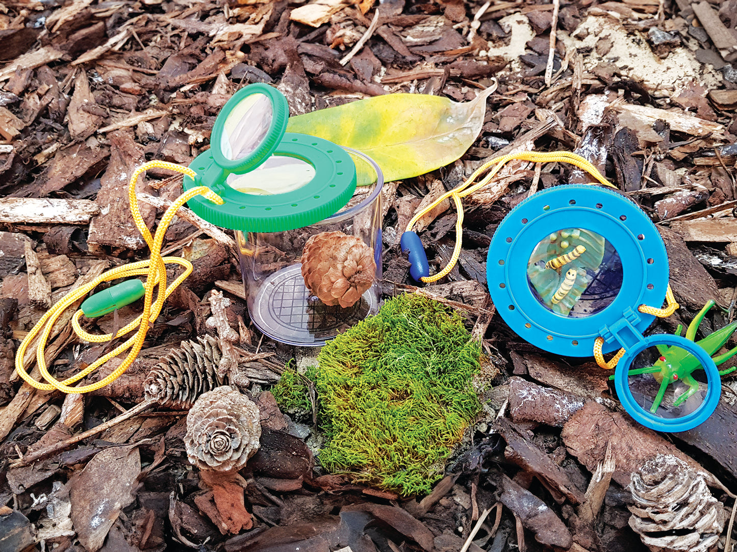 Nature Detective Set