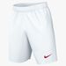 Nike Park III Knit Short Youth