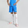 Puma Team Liga Shorts Senior