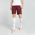 Puma Team Liga Shorts Senior