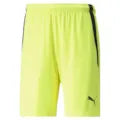Puma Team Liga Shorts Senior