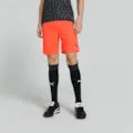 Puma Team Liga Shorts Senior
