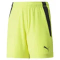 Puma Team Liga Shorts Youth