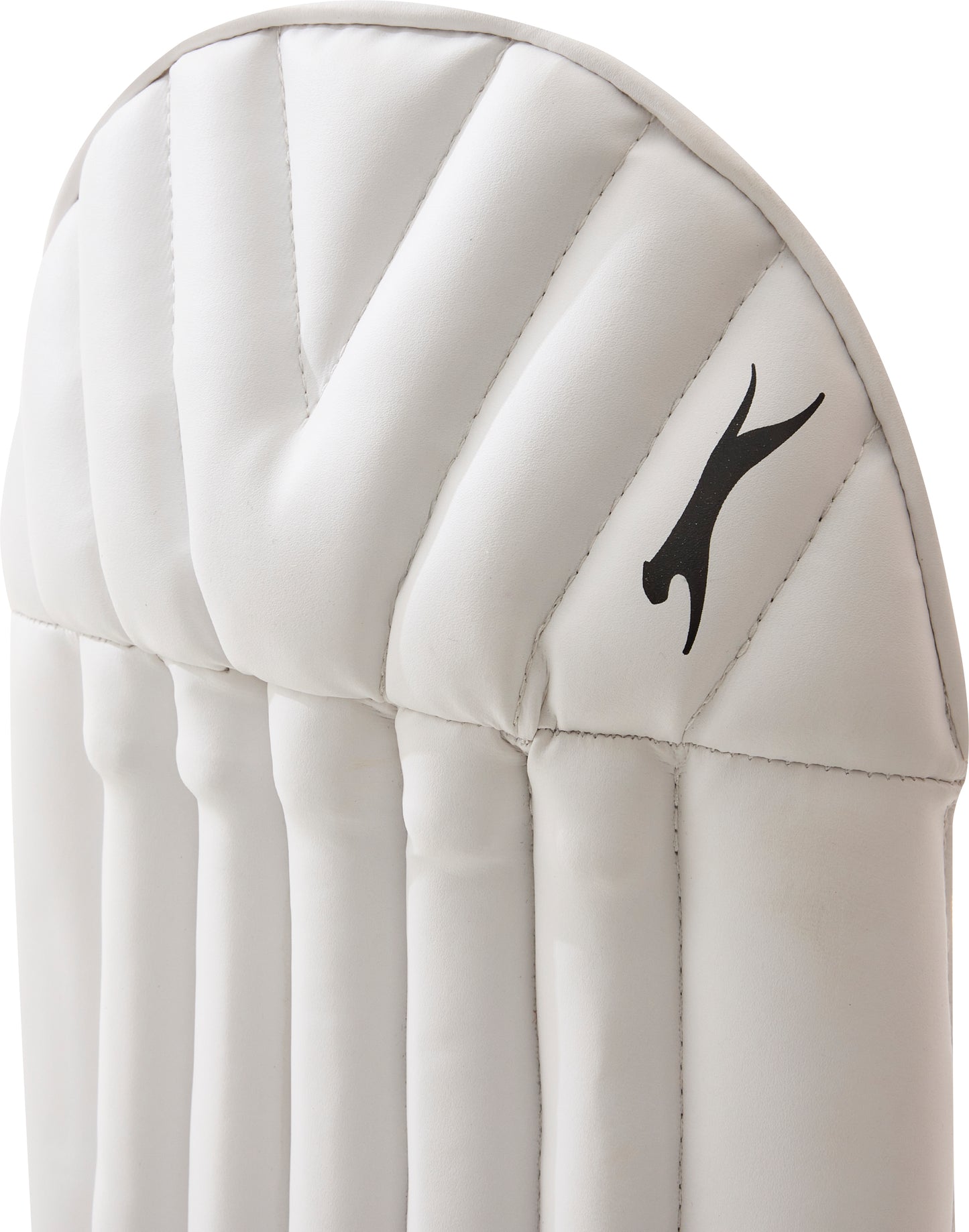 Slazenger Advance Cricket Wicket Keeping Pads