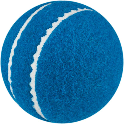 Slazenger Allplay Cricket Balls (Set of 6)