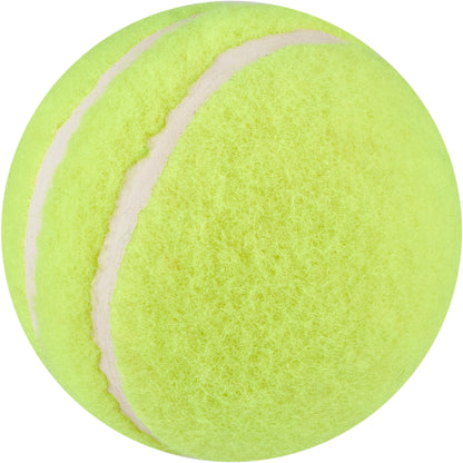 Slazenger Allplay Cricket Balls (Set of 6)