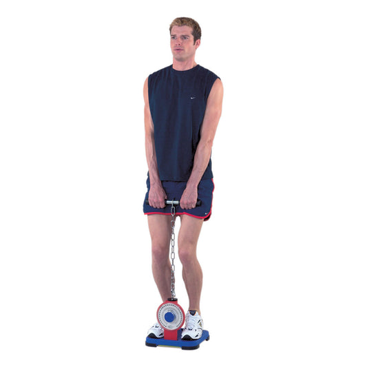 Leg & Trunk Analogue Dynamometer