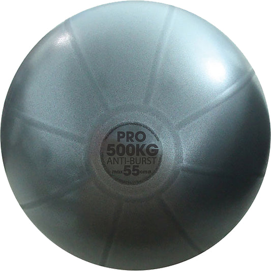 500Kg Swiss Ball Graphite
