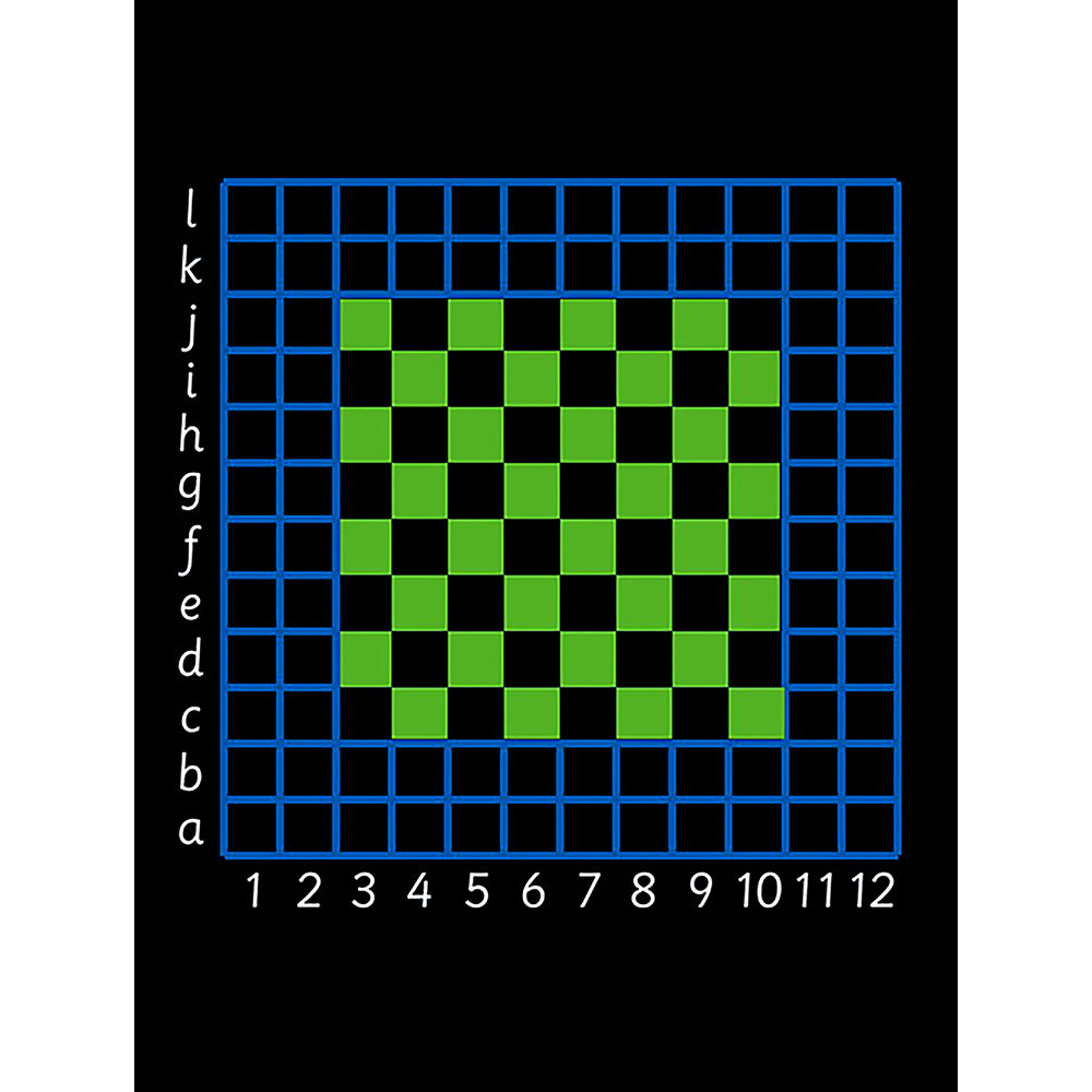Co-Ordinates Grid Marking - 4 x 4m