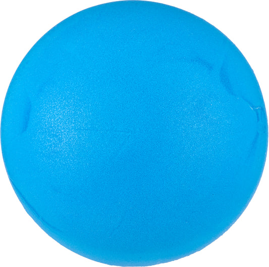 20cm Foam Sponge Ball